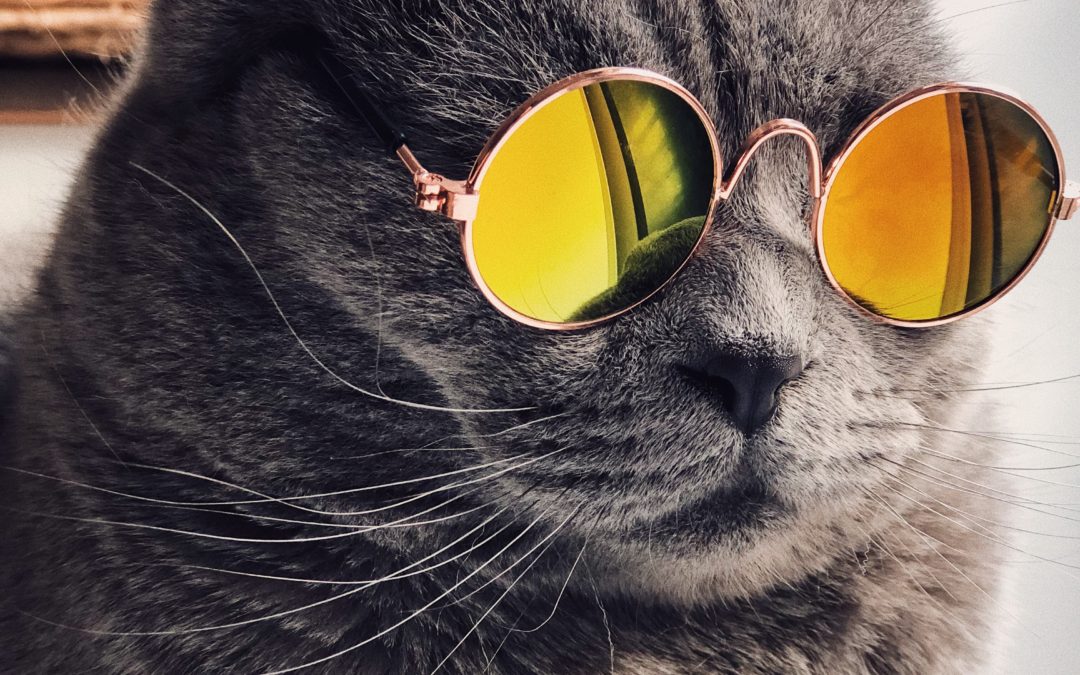 Want to Up Your Leadership Presence? Be a Copycat!